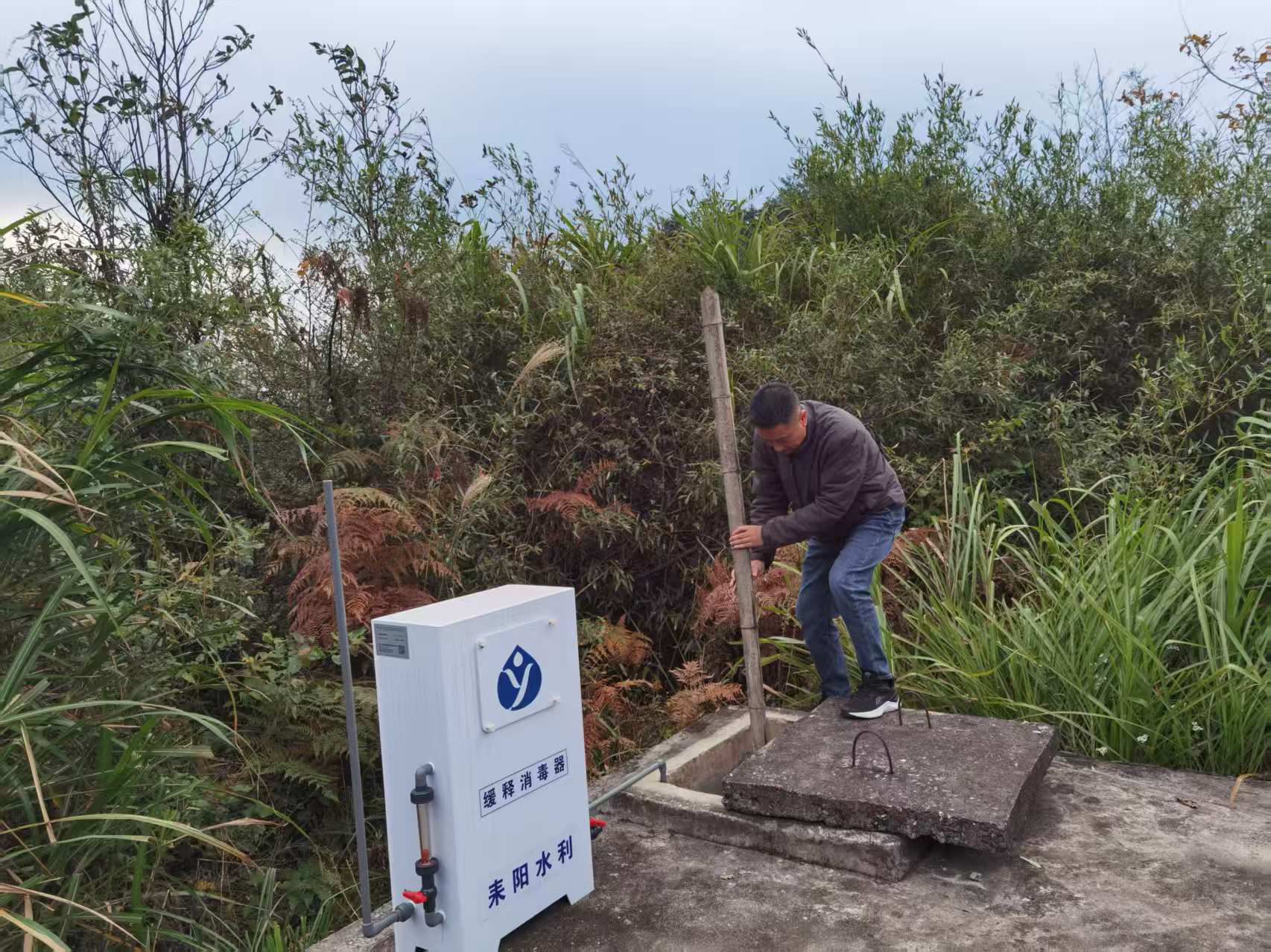 图片2_91591图片2